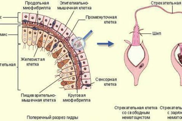 Kra33.cc