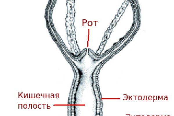 Зеркала на кракен kraken014 com